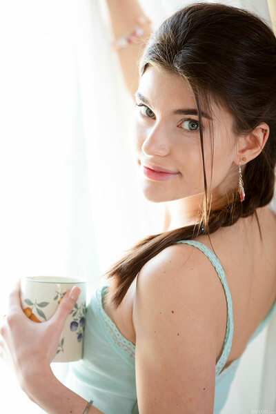 Stefany Kyler in Pleasurable View from Metart